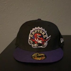 Toronto raptors hat